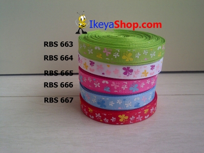 Pita RBS 663 667  large2